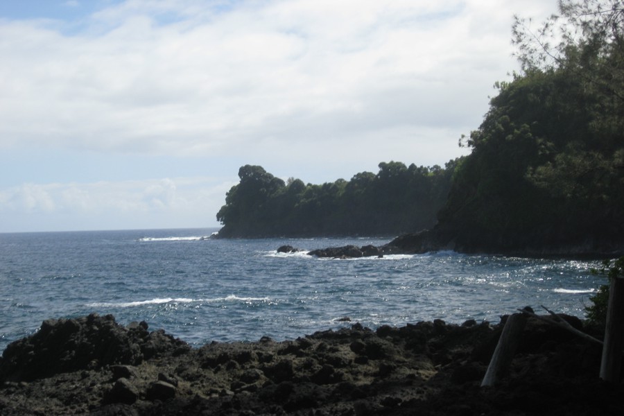 ../image/hawaii tropical botanical garden - onomea bay 7.jpg